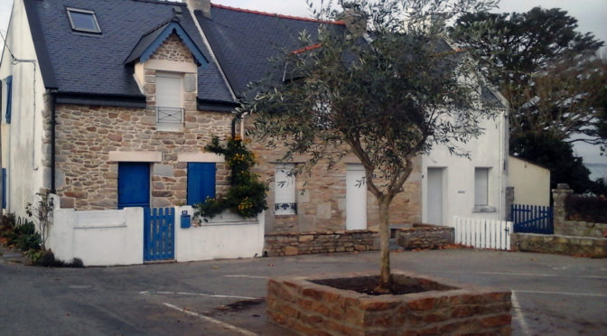 L’ Olivier de la place Maufra